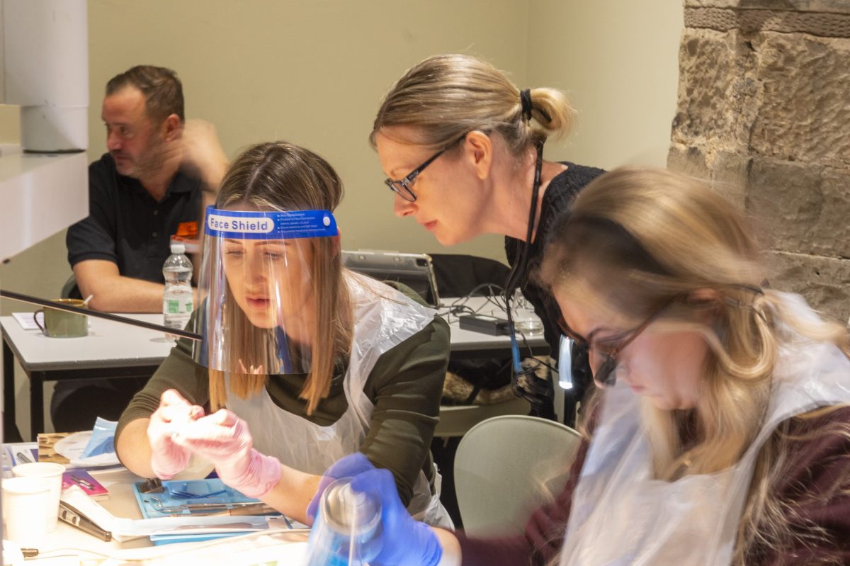 Introduction to Biomimetic Dentistry & Direct Composite Techniques - Level 1 (October 2026)