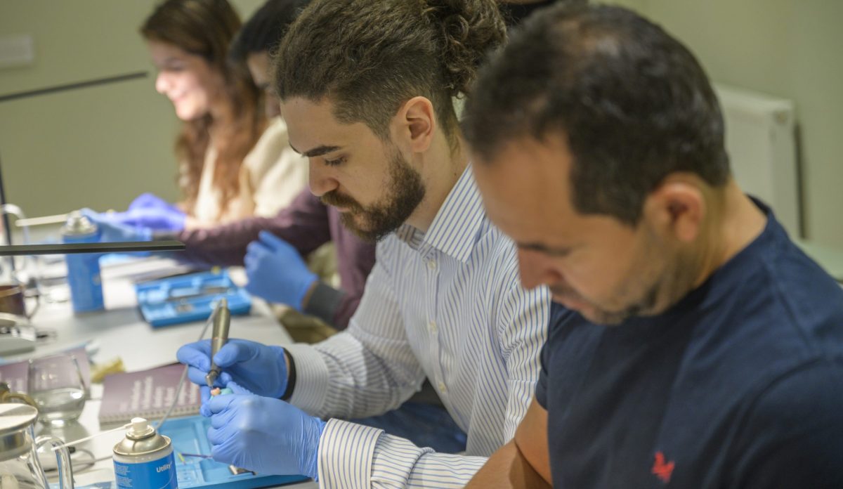 Introduction to Biomimetic Dentistry & Direct Composite Techniques - Level 1 (January 2027)